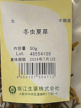 【中古】 冬虫夏草/幻冬舎/竹内海南江 中古】 冬虫夏草/幻冬舎/竹内海南江